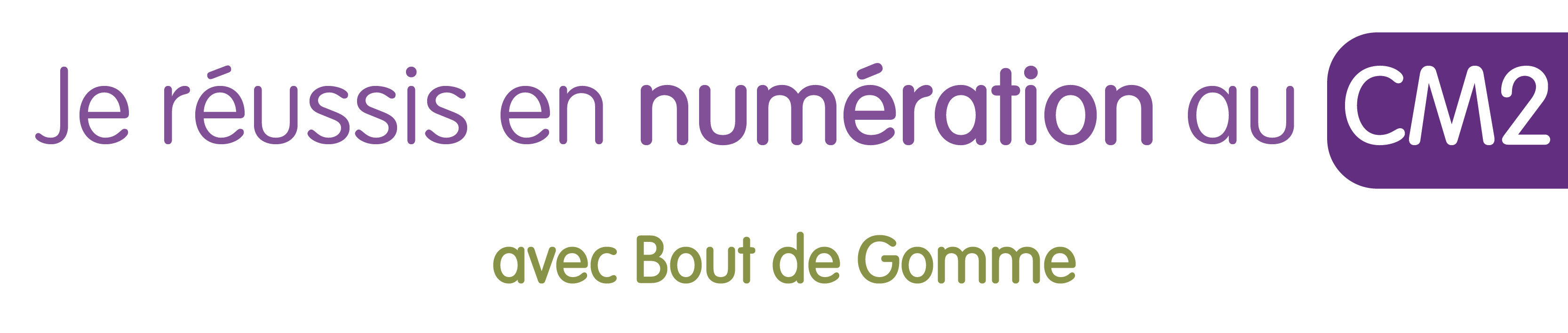 Cahier numeration bout de gomme cm2