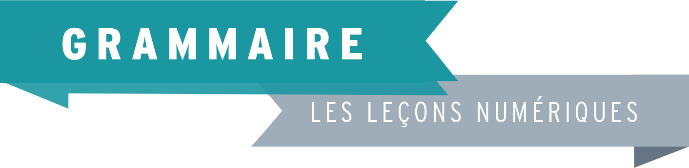Les Leçons Numériques de Grammaire • Nouvelle édition